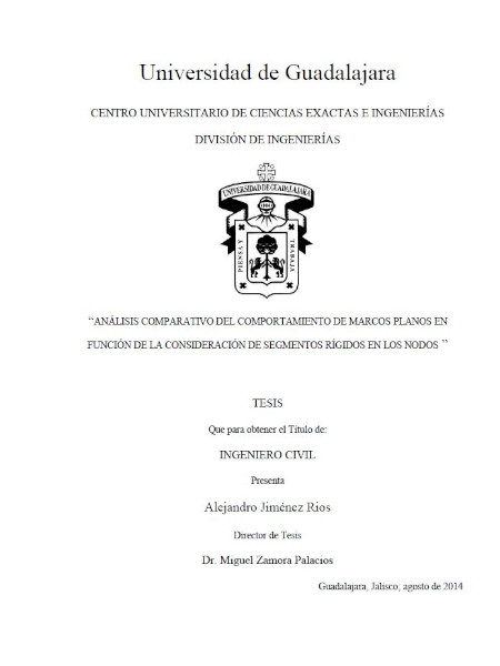 Dr. Alejandro Jiménez Rios BSc thesis